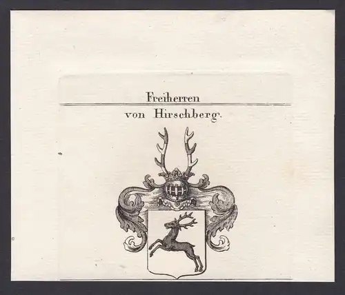 Freiherren von Hirschberg - Hirschberg Bayern Wappen Adel coat of arms heraldry Heraldik Kupferstich antique p