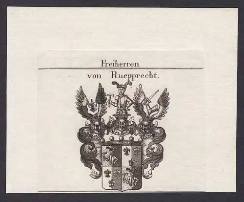 Freiherren von Ruepprecht - Ruepprecht Rüpprecht Wappen Adel coat of arms heraldry Heraldik Kupferstich antiqu