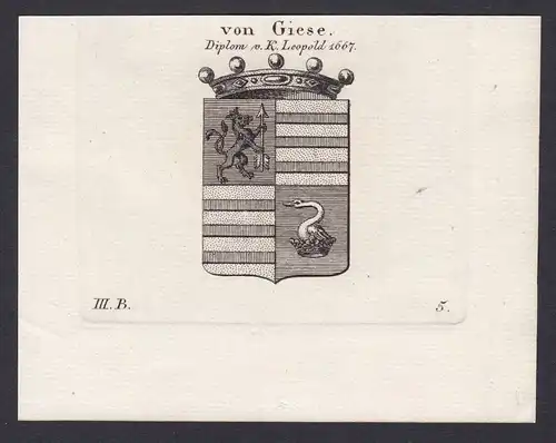 von Giese - Giese Geise Brandenburg Wappen Adel coat of arms heraldry Heraldik Kupferstich copper engraving an