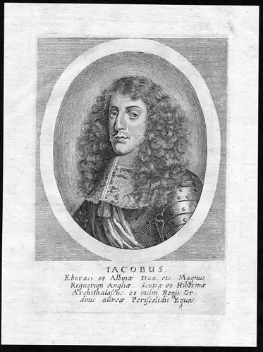 Iacobus - James II of England Scotland Ireland Portrait Kupferstich antique print