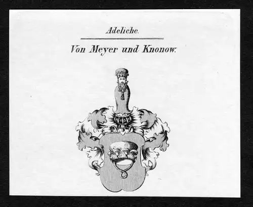 Von Meyer und Knonow - Meyer zu Knonow Wappen Adel coat of arms Kupferstich antique print heraldry Heraldik