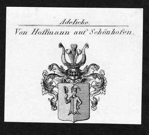 Von Hoffmann auf Schönhofen - Hoffmann Hofmann auf Schönhofen Schoenhofen Wappen Adel coat of arms Kupferstich