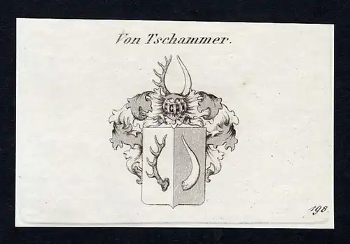 Von Tschammer - Tschammer Schlesien Wappen Adel coat of arms heraldry Heraldik Kupferstich engraving