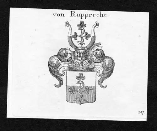 Von Rupprecht - Rupprecht Wappen Adel coat of arms heraldry Heraldik Kupferstich engraving