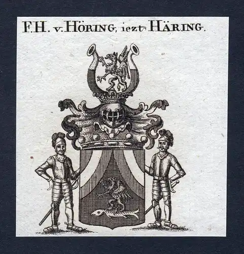 F.H. v. Höring, iezt Häring - Höring Hoering Häring Haering Wappen Adel coat of arms Kupferstich antique print
