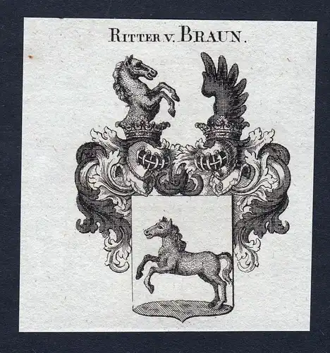 Ritter v. Braun - Braun Wappen Adel coat of arms Kupferstich antique print heraldry Heraldik