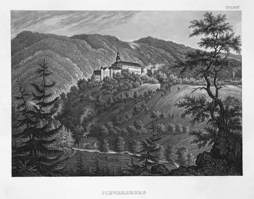 Schwarzburg - Schwarzburg Thüringen Deutschland Germany Ansicht view Stahlstich steel engraving antique print