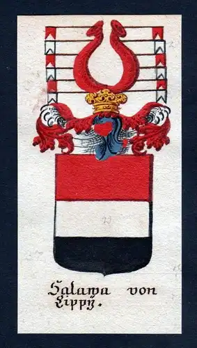 h. Salawa von Lippy Lipno Lippen Böhmen Wappen coat of arms Manuskript