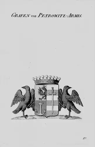 Petrowitz- Armis Wappen Adel coat of arms heraldry Heraldik Kupferstich