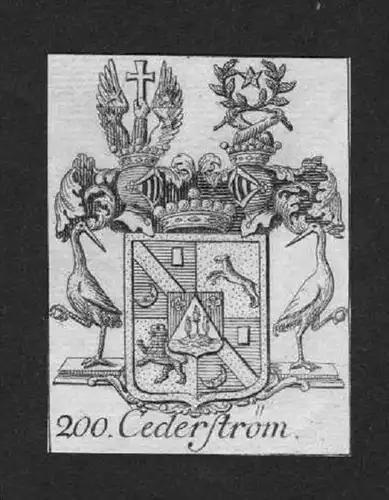 Cederström Wappen vapen coat of arms Genealogie Heraldik Kupferstich
