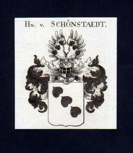 Herren v. Schönstaedt Heraldik Kupferstich Wappen