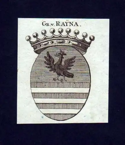 Grafen v. Rayna Heraldik Kupferstich Wappen