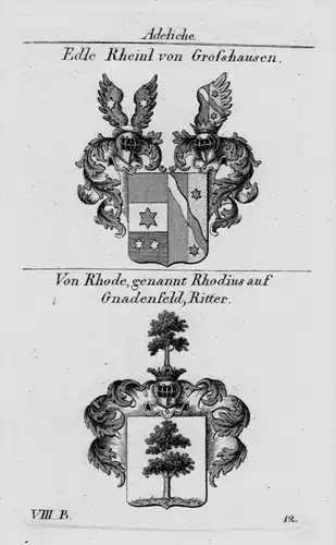 Rheinl Grofshausen Rhode Rhodius Wappen Adel coat of arms  Kupferstich