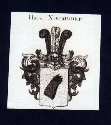 Herren v. Naumdorf Heraldik Kupferstich Wappen