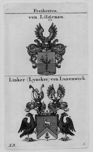 Lilgenau Linker Wappen Adel coat of arms heraldry Heraldik Kupferstich