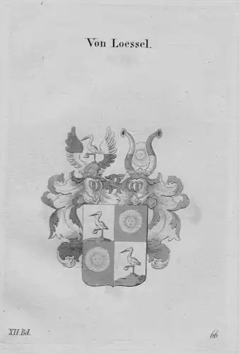 Loessel Wappen coat of arms heraldry Heraldik Kupferstich