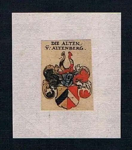 h. Alten Alt Altenberg Wappen Kupferstich Heraldik coat of arms heraldry