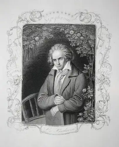 L. v. Beethoven - Ludwig van Beethoven Komponist composer Portrait Stahlstich steel engraving antique print