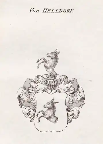 Von Helldorf - Helldorf Helldorff Meißen Wappen Adel coat of arms heraldry Heraldik Kupferstich antique print