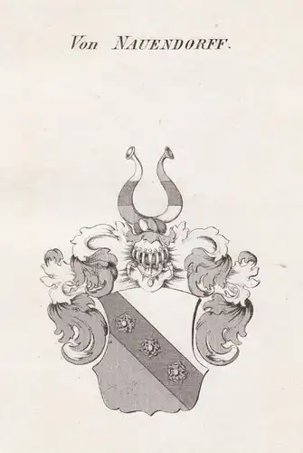 Von Nauendorff - Naundorf Nauendorf Thüringen Wappen Adel coat of arms heraldry Heraldik Kupferstich antique p