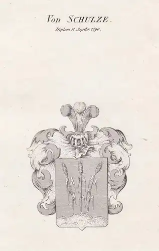 Von Schulze. Diplom 11 September 1790 - Schulze Wappen Adel coat of arms heraldry Heraldik Kupferstich antique