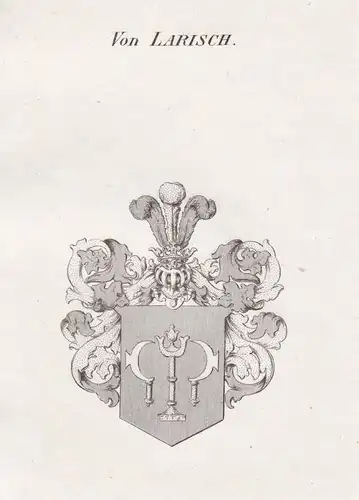 Von Larisch - Larisch Schlesien Wappen Adel coat of arms heraldry Heraldik Kupferstich antique print