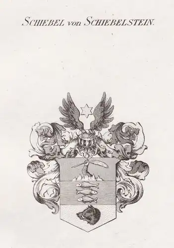 Schiebel von Schiebelstein - Schiebel Schiebelstein Wappen Adel coat of arms heraldry Heraldik Kupferstich ant