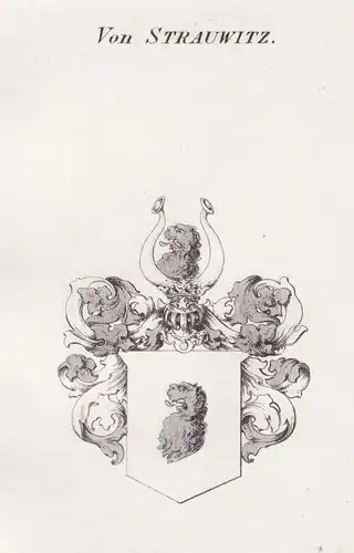 Von Strauwitz - Strachwitz Schlesien Wappen Adel coat of arms heraldry Heraldik Kupferstich antique print