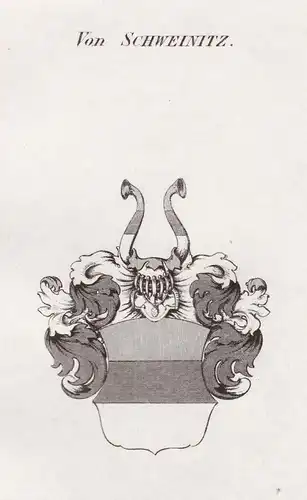 Von Schweinitz - Schweinitz Schlesien Wappen Adel coat of arms heraldry Heraldik Kupferstich antique print