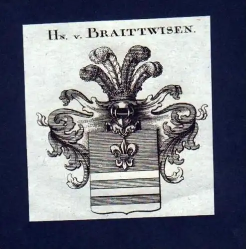 Herren v. Braittwisen Braitwiesen Kupfer Wappen