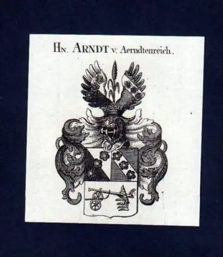 Arndt v. Aerndtenreich Heraldik Kupferstich Wappen