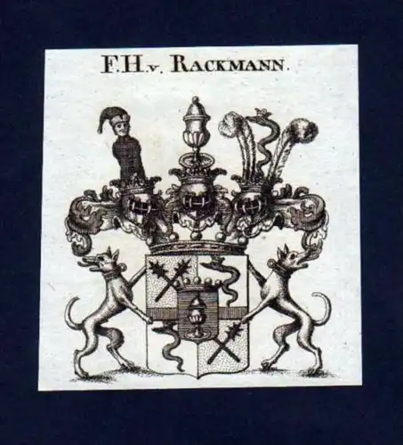 Freiherren v. Rackmann Heraldik Kupferstich Wappen