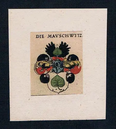 . die Mauschwitz Wappen coat of arms heraldry Heraldik Kupferstich