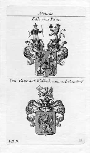 Paur Waffenbrunn Lebendorf Wappen coat of arms Heraldik heraldry Kupferstich