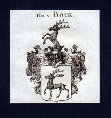 Herren v. Bock Heraldik Kupferstich Wappen