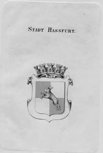 Stadt Hassfurt Wappen Adel coat of arms heraldry Heraldik Kupferstich