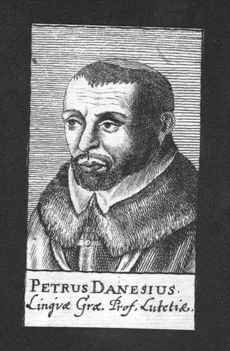 Petrus Danesius Gelehrter Professor Holland Kupferstich Portrait