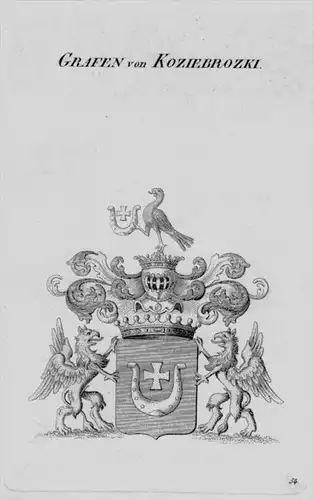 Koziebrozki Wappen Adel coat of arms heraldry Heraldik Kupferstich