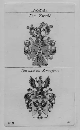 Zwehl Zwerger Wappen coat of arms heraldry Heraldik crest Kupferstich