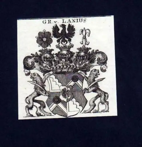Grafen v. Lanius Kupferstich Wappen Heraldik coat of arms
