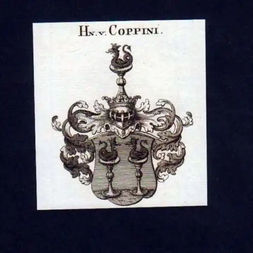 Herren v. Coppini Heraldik Kupferstich Wappen