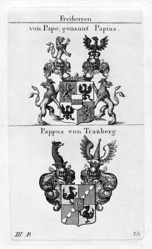 Pape Papius Pappus - Wappen Adel coat of arms heraldry Heraldik Kupferstich
