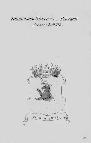 Senfft Pilsach Wappen Adel coat of arms heraldry Heraldik crest Kupferstich