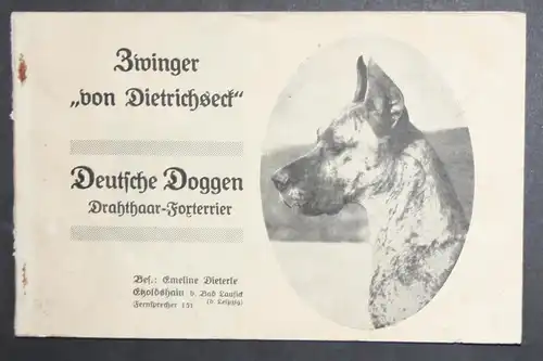 Deutsche Doggen - Drahthaar-Foxterrier. Zwinger von Dietrichseck.
