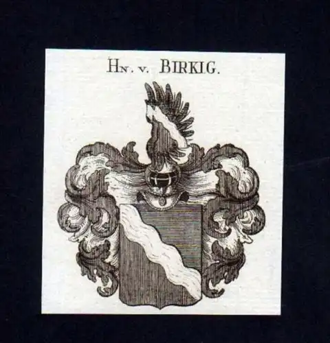 Herren v. Birkig Heraldik Kupferstich Wappen
