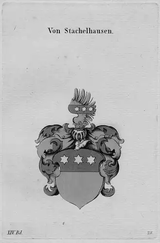 Stachelhausen Wappen Adel coat of arms heraldry Haraldik Kupferstich