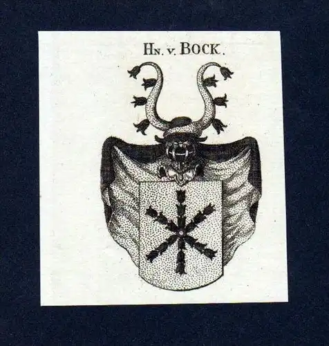 Herren von Bock Original Kupferstich Wappen coat of arms Heraldik