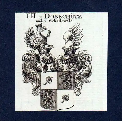 Freiherren von Dobschütz Kupferstich Wappen engraving Heraldik crest