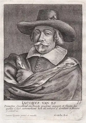 Iacobus van Es - Jacob van Es Maler painter Portrait Kupferstich copper engraving antique print
