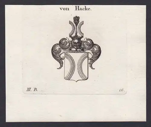 von Hacke - Haake Hake Hacke Wappen Adel coat of arms heraldry Heraldik Kupferstich copper engraving antique p